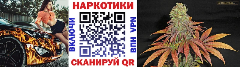 Купить закладку СОЛЬ  Канабис  Меф  ГАШИШ  Амфетамин  Галлюциногенные грибы  Cocaine  Орлов