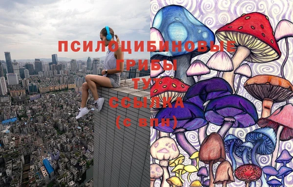 мяу мяу мука Мегион